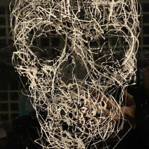 Skull Jeremy Kleinberg